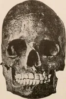 An illustration from Men of the old stone age : their environment, life and art (1916)