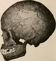 An illustration from Men of the old stone age : their environment, life and art (1916)