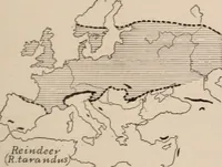 An illustration from Men of the old stone age : their environment, life and art (1916)