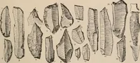 An illustration from Men of the old stone age : their environment, life and art (1916)