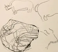 An illustration from Men of the old stone age : their environment, life and art (1916)