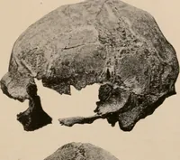 An illustration from Men of the old stone age : their environment, life and art (1916)