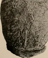 An illustration from Men of the old stone age : their environment, life and art (1916)