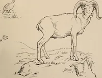 An illustration from Men of the old stone age : their environment, life and art (1916)