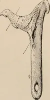 Picture 190 of 270 from Men of the old stone age : their environment, life and art (1916), leaf 408