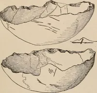 An illustration from Men of the old stone age : their environment, life and art (1916)