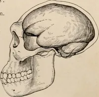 An illustration from Men of the old stone age : their environment, life and art (1916)