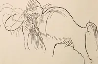 An illustration from Men of the old stone age : their environment, life and art (1916)