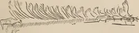 An illustration from Men of the old stone age : their environment, life and art (1916)