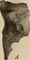 An illustration from Men of the old stone age : their environment, life and art (1916)