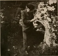 Picture 218 of 270 from Men of the old stone age : their environment, life and art (1916), leaf 444