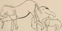 An illustration from Men of the old stone age : their environment, life and art (1916)