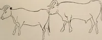 An illustration from Men of the old stone age : their environment, life and art (1916)