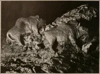 Picture 238 of 270 from Men of the old stone age : their environment, life and art (1916), leaf 465