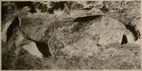 An illustration from Men of the old stone age : their environment, life and art (1916)