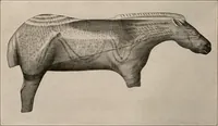 Picture 241 of 270 from Men of the old stone age : their environment, life and art (1916), leaf 467