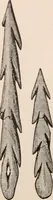 An illustration from Men of the old stone age : their environment, life and art (1916)