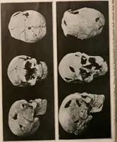 An illustration from Men of the old stone age : their environment, life and art (1916)