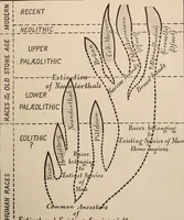 Picture 263 of 270 from Men of the old stone age : their environment, life and art (1916), leaf 526