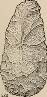 Picture 264 of 270 from Men of the old stone age : their environment, life and art (1916), leaf 528