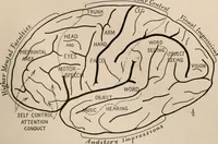 An illustration from Men of the old stone age : their environment, life and art (1916)