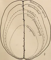 Picture 23 of 270 from Men of the old stone age : their environment, life and art (1916), leaf 94