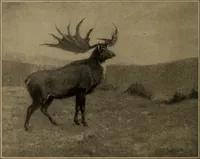 An illustration from Men of the old stone age, their environment, life and art (1918)