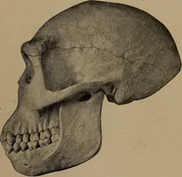 An illustration from Men of the old stone age, their environment, life and art (1918)