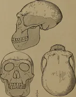 An illustration from Men of the old stone age, their environment, life and art (1918)