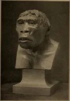 Picture 40 of 275 from Men of the old stone age, their environment, life and art (1918), leaf 128