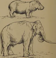 An illustration from Men of the old stone age, their environment, life and art (1918)