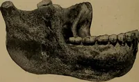 An illustration from Men of the old stone age, their environment, life and art (1918)