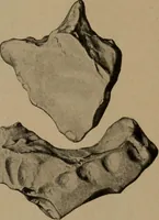 An illustration from Men of the old stone age, their environment, life and art (1918)