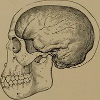 An illustration from Men of the old stone age, their environment, life and art (1918)