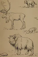 An illustration from Men of the old stone age, their environment, life and art (1918)