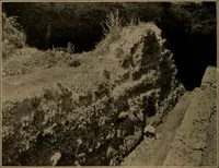 An illustration from Men of the old stone age, their environment, life and art (1918)