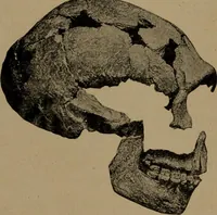 An illustration from Men of the old stone age, their environment, life and art (1918)