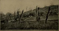 An illustration from Men of the old stone age, their environment, life and art (1918)