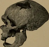 An illustration from Men of the old stone age, their environment, life and art (1918)
