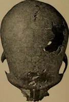 An illustration from Men of the old stone age, their environment, life and art (1918)