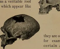 Picture 112 of 275 from Men of the old stone age, their environment, life and art (1918), leaf 268