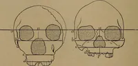 An illustration from Men of the old stone age, their environment, life and art (1918)