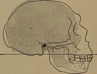 An illustration from Men of the old stone age, their environment, life and art (1918)