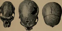 An illustration from Men of the old stone age, their environment, life and art (1918)
