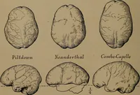 An illustration from Men of the old stone age, their environment, life and art (1918)
