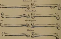 An illustration from Men of the old stone age, their environment, life and art (1918)
