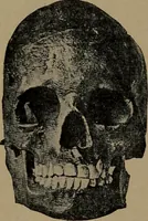 An illustration from Men of the old stone age, their environment, life and art (1918)