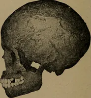 Picture 134 of 275 from Men of the old stone age, their environment, life and art (1918), leaf 309