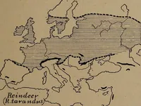 An illustration from Men of the old stone age, their environment, life and art (1918)