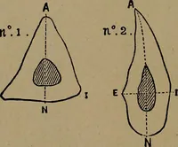 An illustration from Men of the old stone age, their environment, life and art (1918)